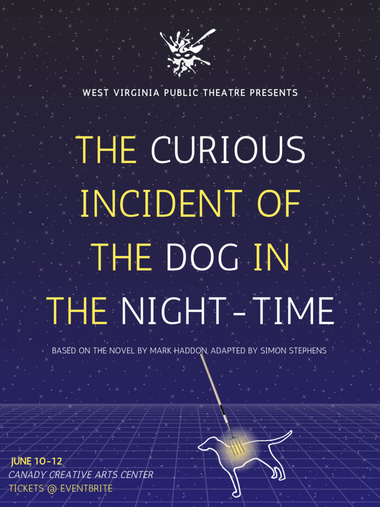 The Curious Incident of the Dog in the Night-time Show Poster